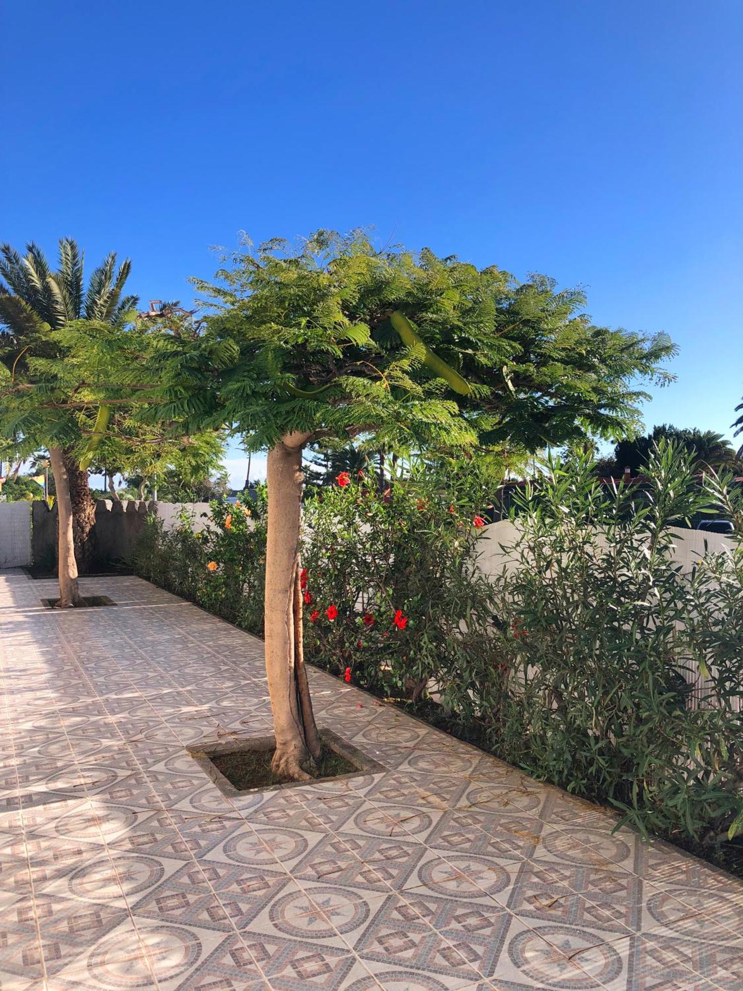 Bungalows Las Almenas Maspalomas  Luaran gambar