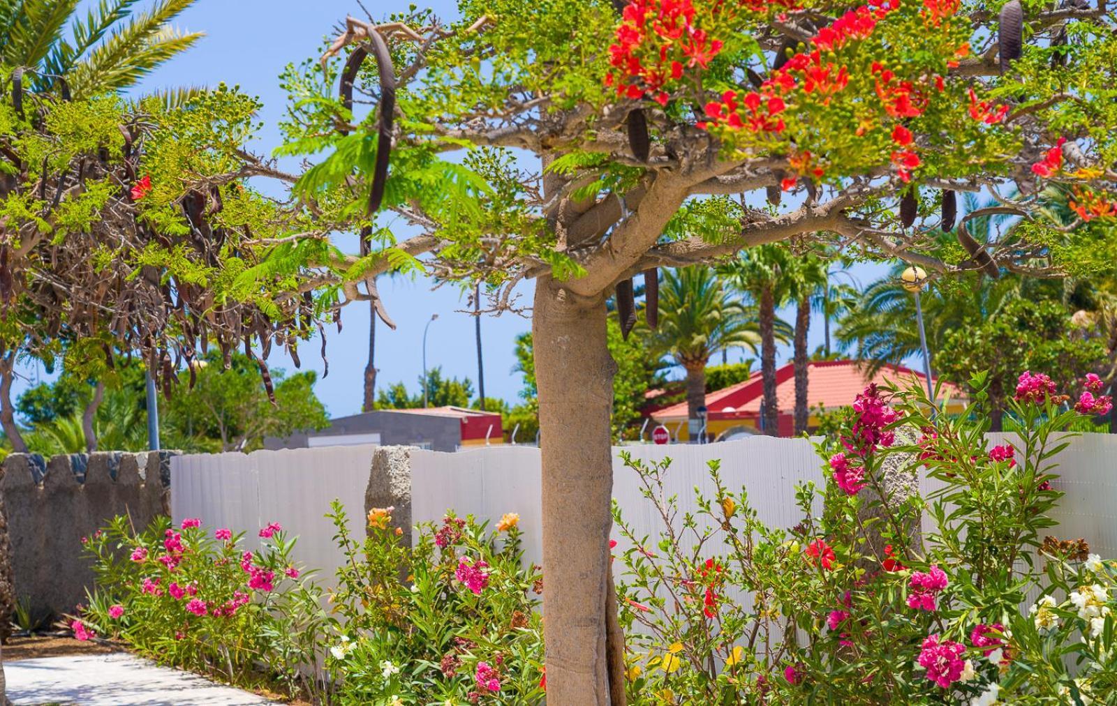 Bungalows Las Almenas Maspalomas  Luaran gambar